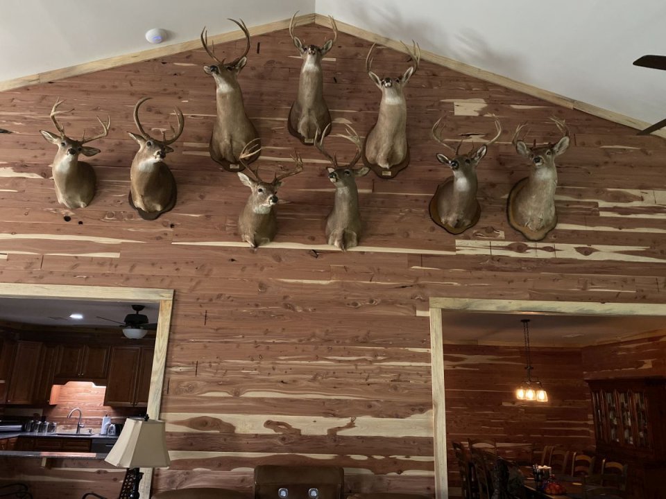 Tes Randal Jolly Photos