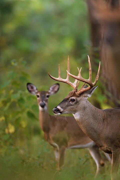 Tes Randal Jolly Photos