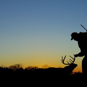 Tes Randal Jolly Photos