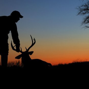 Tes Randal Jolly Photos