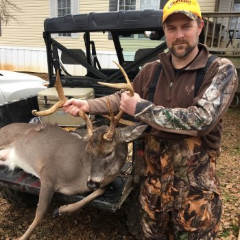 Deer
