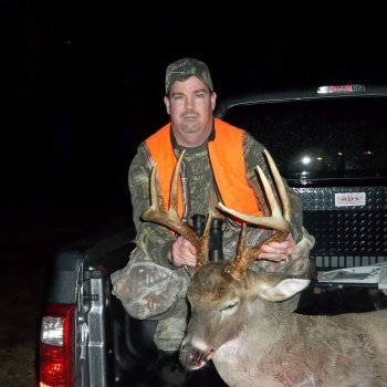 Deer Photos