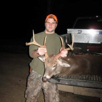 Deer Photos
