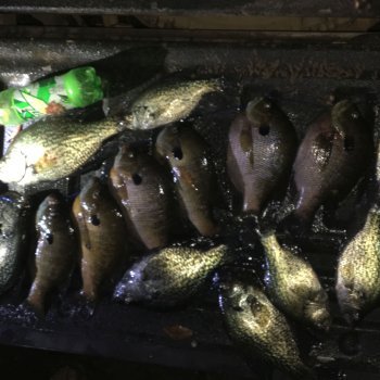 Fishing Photos