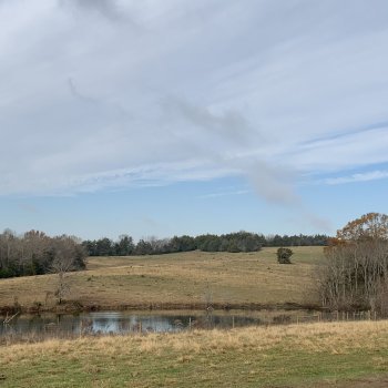 Lodge Photos